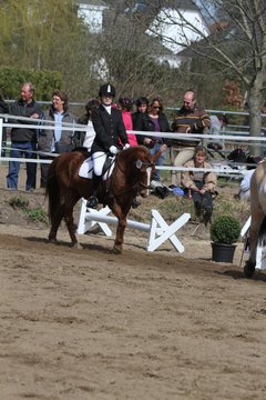 Bild 752 - WBO-Turnier am 9.4.11